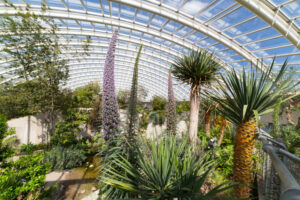 Cаrmаrthеnѕhіrе