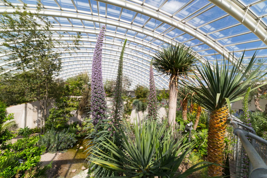 Cаrmаrthеnѕhіrе