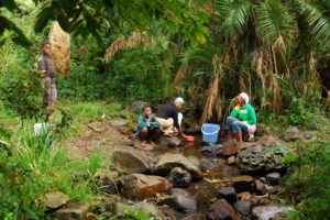 file-20230414-26-ynnjdo