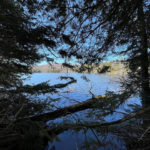 TNC Vermont Memperluas Area Alam Long Pond dengan Perlindungan Seluas 92 Hektar